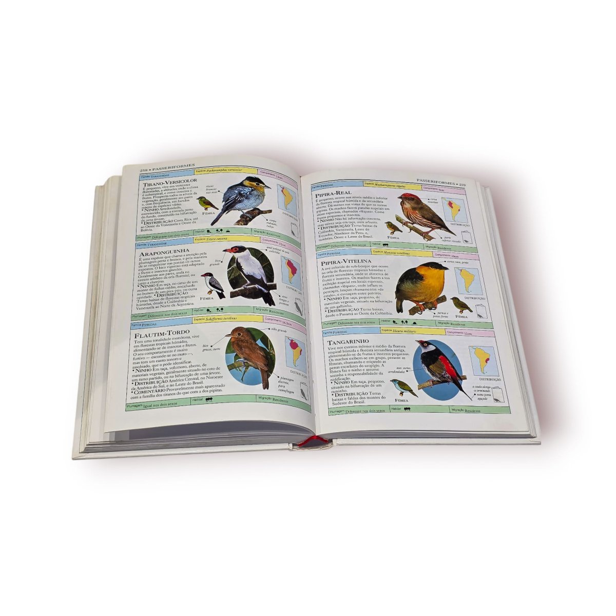 📚 Aves do Mundo – Guia Ilustrado Ornitologia | Segredos da Natureza - Image 9